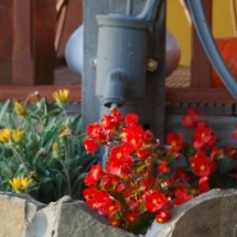 Charmehotel De stokerij te Oudenburg, West-Vlaanderen - Overnachten nabij Brugge, Oostende en De Haan